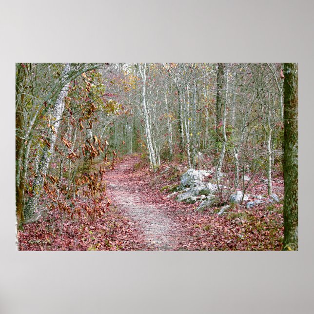 Affiche Feuilles d'automne roses sentier Goat Rock Arkansa (Devant)