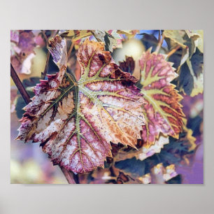 Affiche Feuilles de automne colorées avec aquarelle de cou