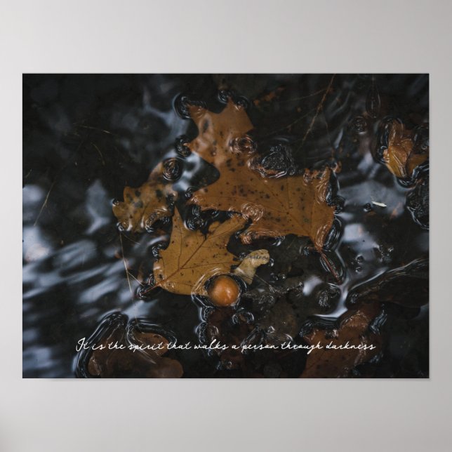Affiche Feuilles de chêne et glands dans les eaux sombres (Devant)