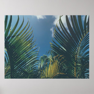 AFFICHE FEUILLES DE PALMIERS TROPICAUX