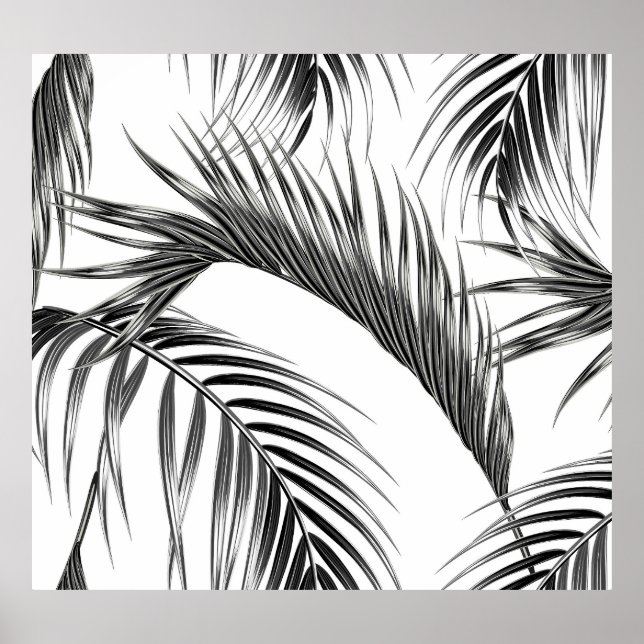 Affiche Feuilles de palmiers tropicaux, jungle sans soudur (Devant)