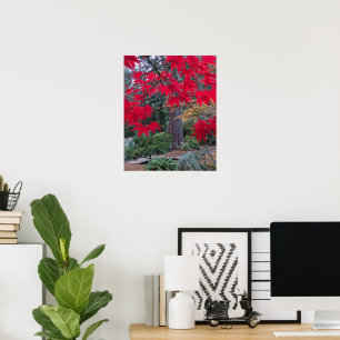 Affiche Feuilles d'érable rouge dans un jardin japonais