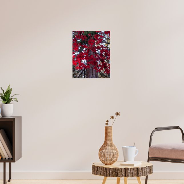 Affiche Feuilles d'érable rouge et Séquoia géant (Salon 3)