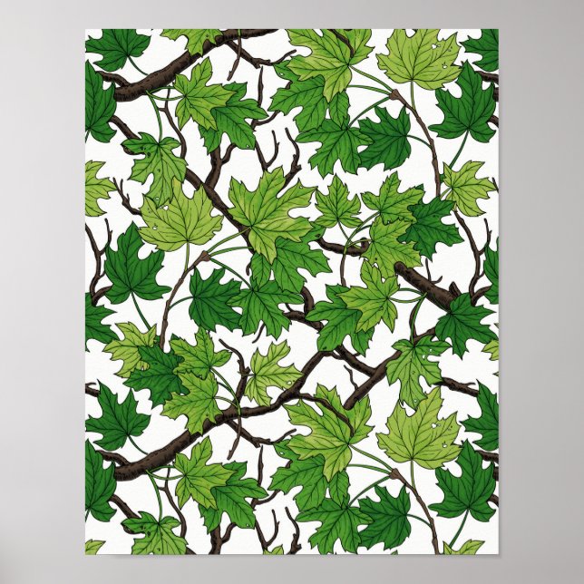 Affiche Feuilles d'érable sur fond blanc (Devant)