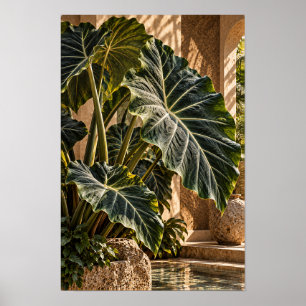 Affiche Feuilles d'oreille d'éléphant tropicales dans la c