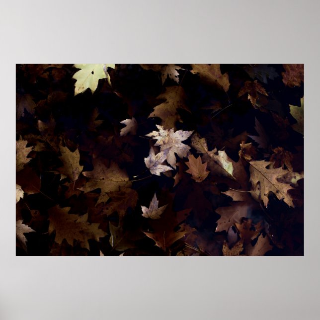 AFFICHE FEUILLES MAPLE BROWN (Devant)