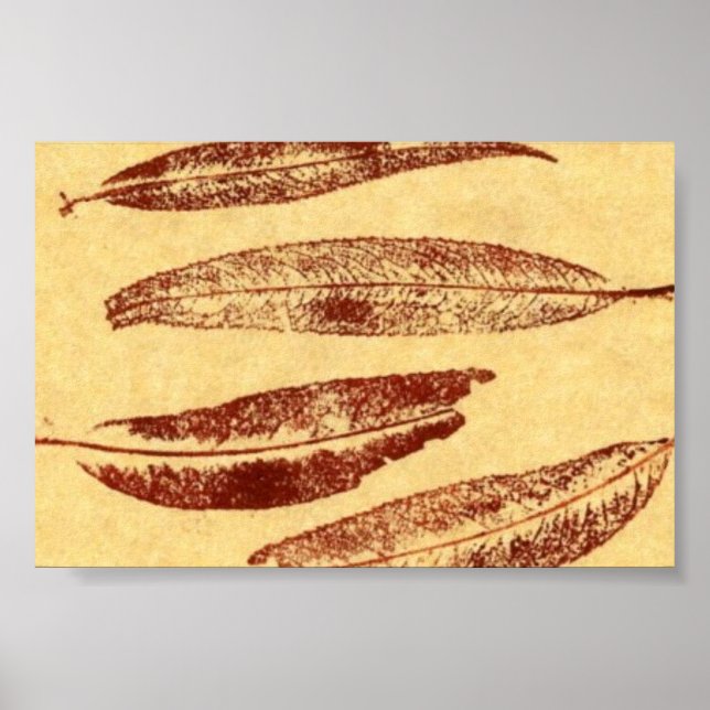 Affiche Feuilles Nature Imprimer Mini-Poster (Devant)