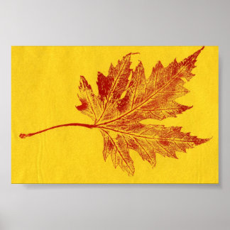 Affiche Feuilles Nature Imprimer Mini-Poster