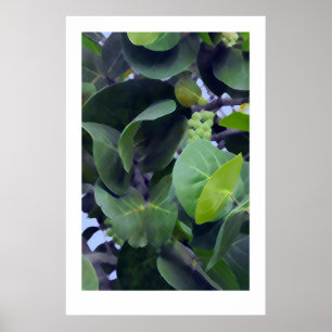 Affiche Feuilles Sculpturales