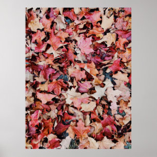 Affiche Feuilles séchés