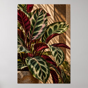 Affiche Feuilles Tropicales Panachées dans un Mur de Lumiè