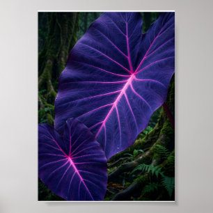 Affiche Feuilles Tropicales Violettes Lumineuses Botanique