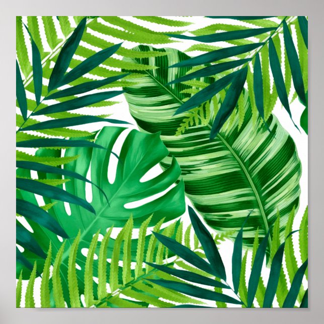 Affiche Feuilles tropicaux verts (Devant)