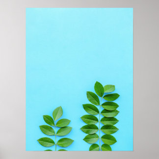 Affiche Feuilles verts minimalistes sur Bleu Arrière - pla