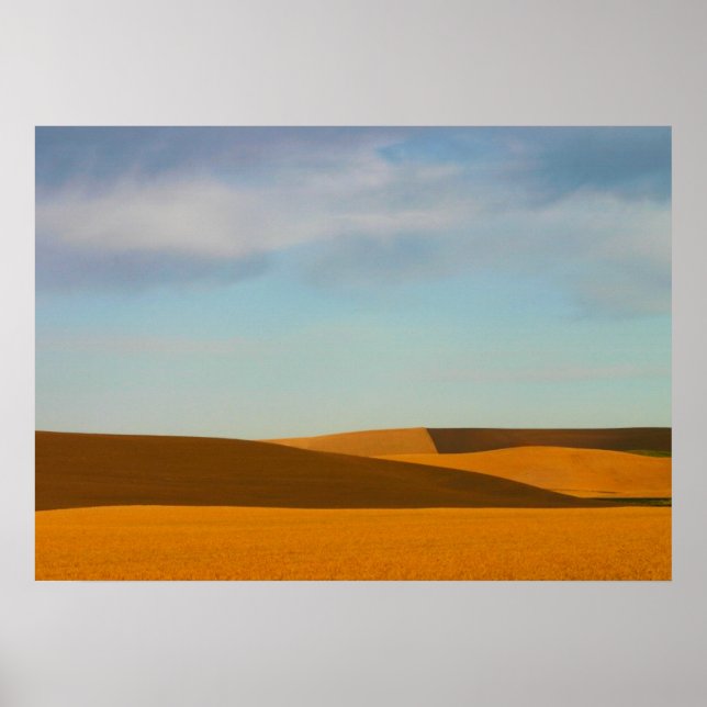 Affiche Fibres de blé d'or dans la région de Palouse (Devant)