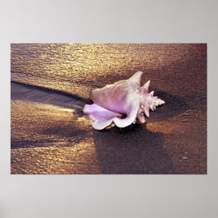 Affiche Fidji, il y a encore des obus comme celui-ci sur