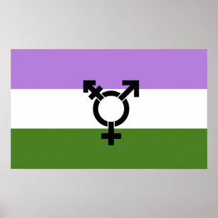 Affiche Fier d'être queer - fierté queer et genre
