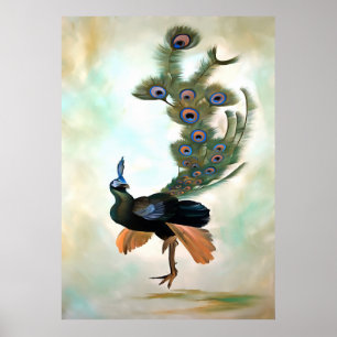 Affiche Fière Comme Un Peacock Colorful Courtship Display