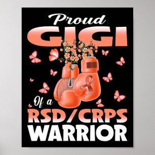 Affiche Fière Gigi D'Une Boxe De Sensibilisation Des Guerr