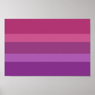 Affiche Fierté Aceflux