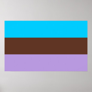Affiche Fierté androsexuelle