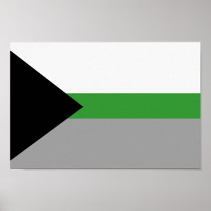 Affiche Fierté démiomantique