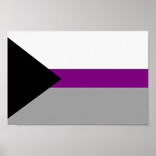 Affiche Fierté demisexuelle