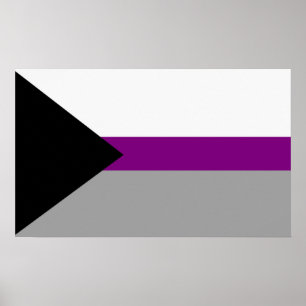 Affiche Fierté demisexuelle