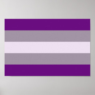 Affiche Fierté grise sexuelle