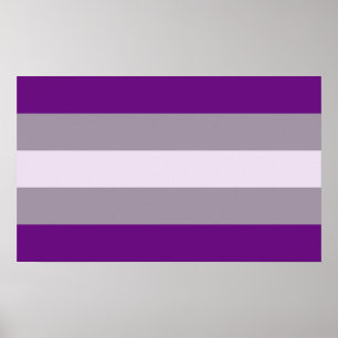 Affiche Fierté grise sexuelle