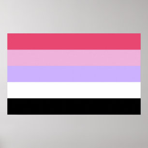 Affiche Fierté réciprosexuelle