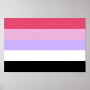 Affiche Fierté Réciprosexuelle