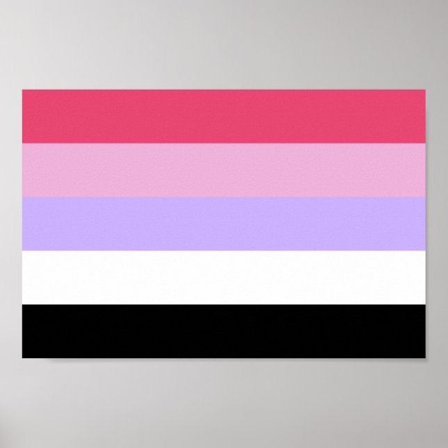 Affiche Fierté Réciprosexuelle (Devant)