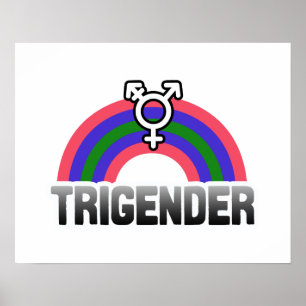 Affiche Fierté trigender