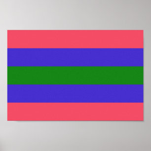 Affiche Fierté trigender