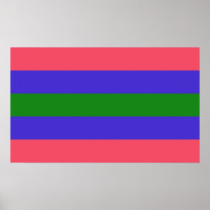 Affiche Fierté trigender