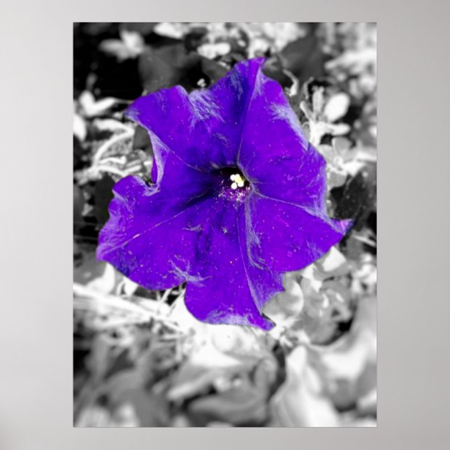 Affiche Fièvre pourpre (Devant)