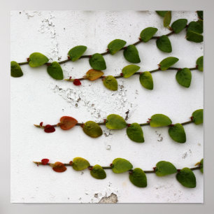 Affiche Fig Escalade