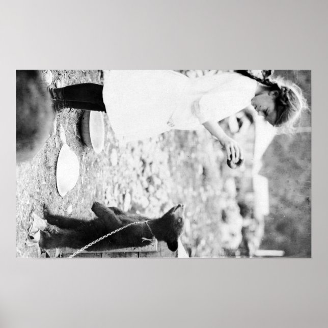 Affiche Fille nourricière Ours Cub à l'eau (Devant)