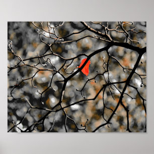 Affiche Fin automne