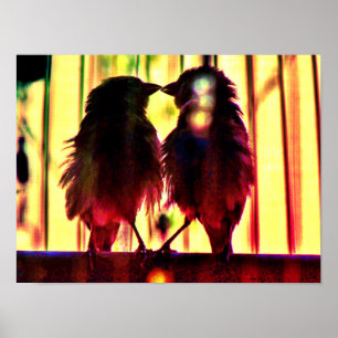 Affiche Finch Love