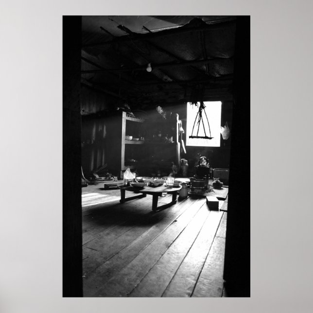 Affiche Find the Cat! (Devant)