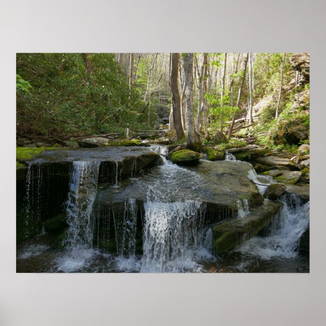 Affiche Findlay Falls I (Devant)