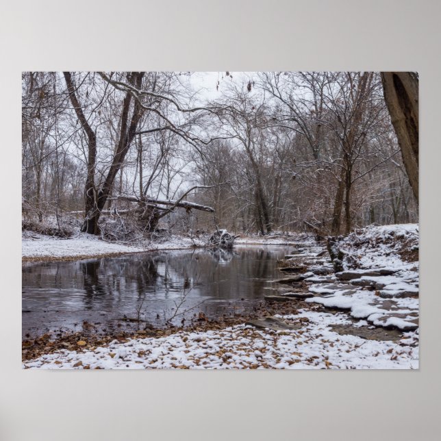 Affiche Finley Winter Snow (Devant)