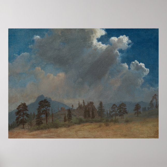 Affiche Fir Arbres et nuages de tempête (Devant)