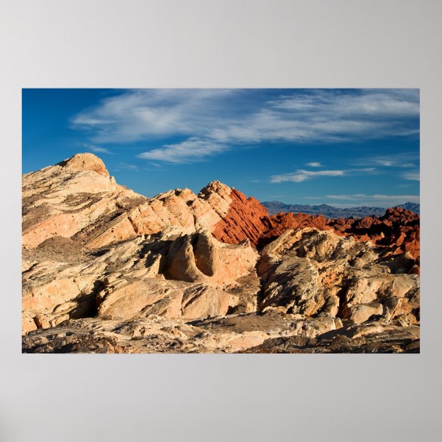 Affiche Fire Canyon (Devant)