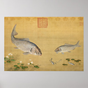 Affiche Fish & Aquatic Plants by Giuseppe Castiglione