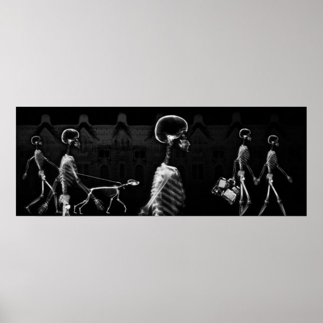 Affiche Fish Tank BKRD X-Ray Skeletons Midnight Stroll B&W (Devant)