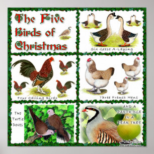 Affiche Five Birds of Christmas