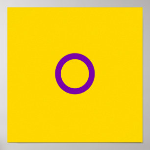 Affiche Flag de Instersex